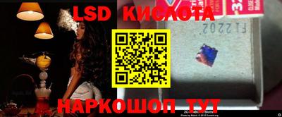 спиды Камышлов