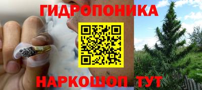 дмт Канаш