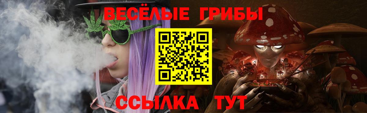 Псилоцибиновые грибы Psilocybe Тимашёвск